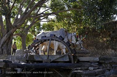 01 PKW-Reise_Udaipur-Ranakpur_DSC4586_b_H600